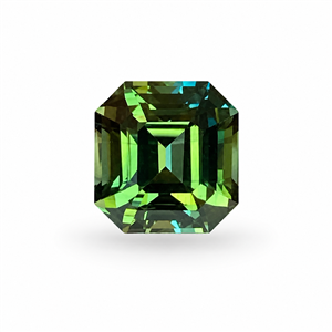 Stone GSE2561