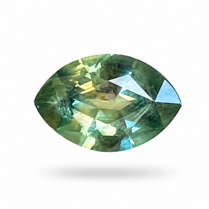 Stone GSM1580